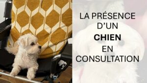 Lire la suite à propos de l’article Le chien en psychothérapie, une présence apaisante